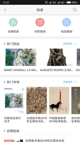 开云网址體驗(yàn)截圖4
